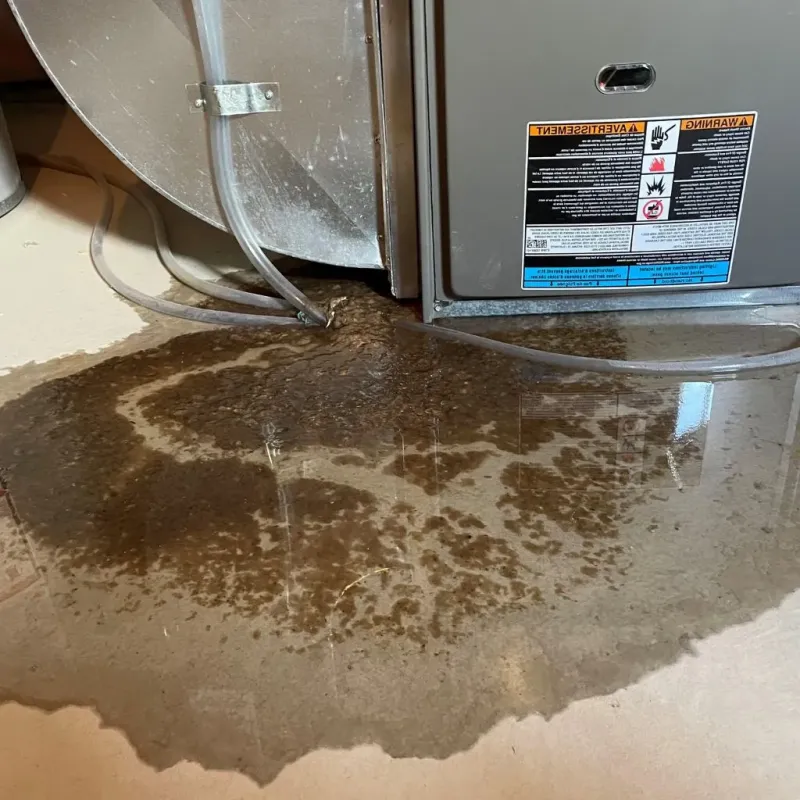 Pipe Burst and Leak Restoration in Hancock, MD